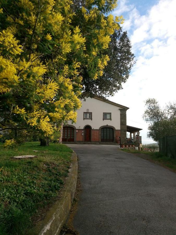 Villa Colle La Fosca - Casa Panoramica à Massarosa Extérieur photo